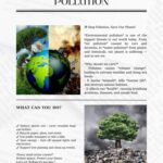 POSTER-ABOUT-ENVIRONMENTAL-POLLUTION.jpg